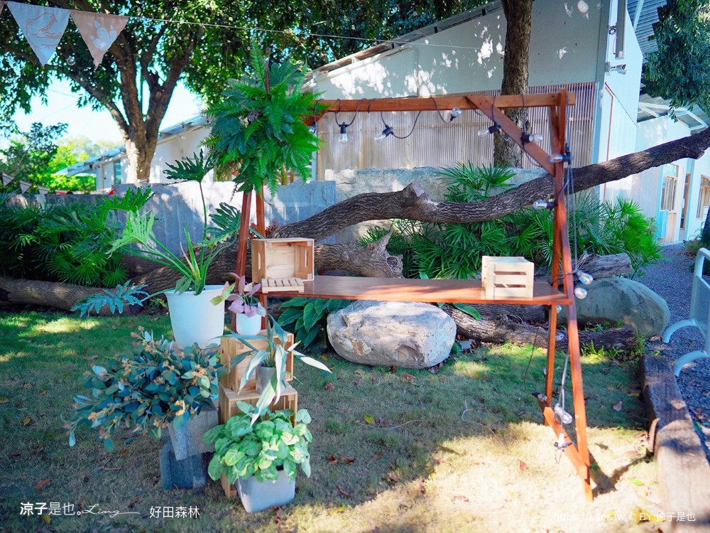 好田森林 菜單 門票 彰化田尾 親子餐廳 親子樂園 恐龍森林 滑草 野餐 玩沙 卡丁車 彰化景點 空中卡丁車