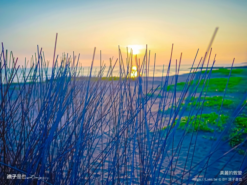 台南景點 七彩同心圓迷宮 ig打卡 開江紀 台江國家公園 鹿耳門 台南地景藝術 台江建庄二百年