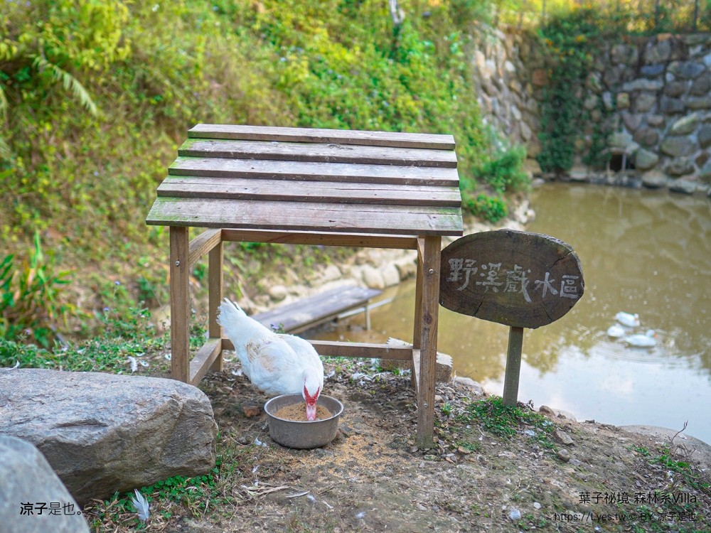 葉子祕境 南投埔里民宿 森林住宿 豪華懶人露營 一泊二食 netflix disney 日月潭 早餐 晚餐