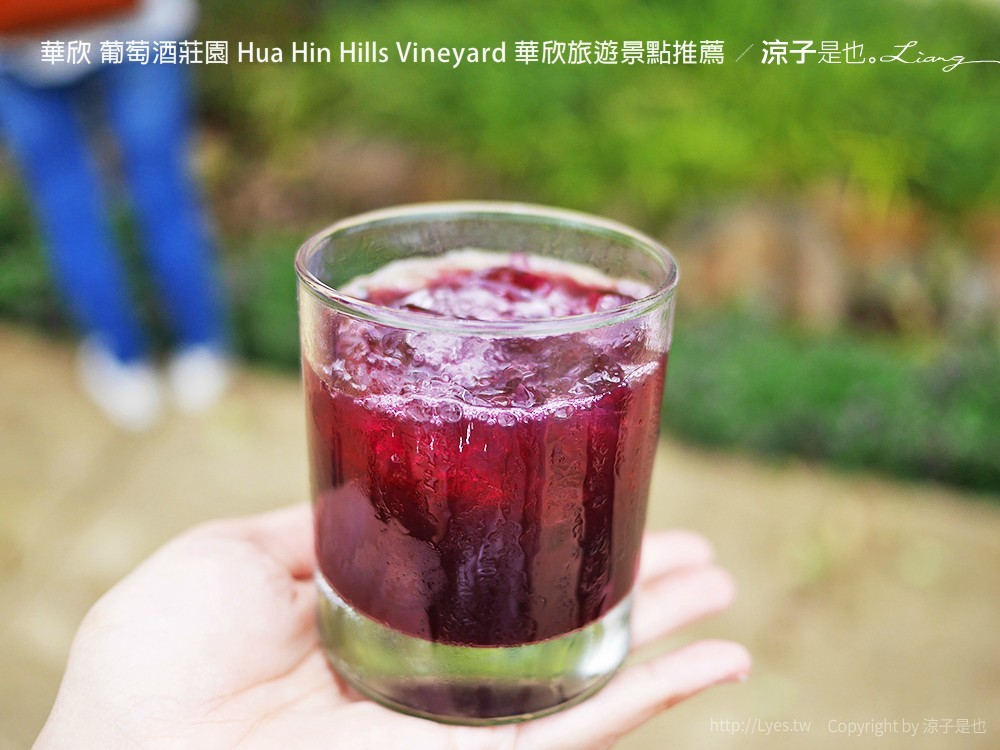 華欣 葡萄酒莊園 Hua Hin Hills Vineyard 華欣旅遊景點推薦