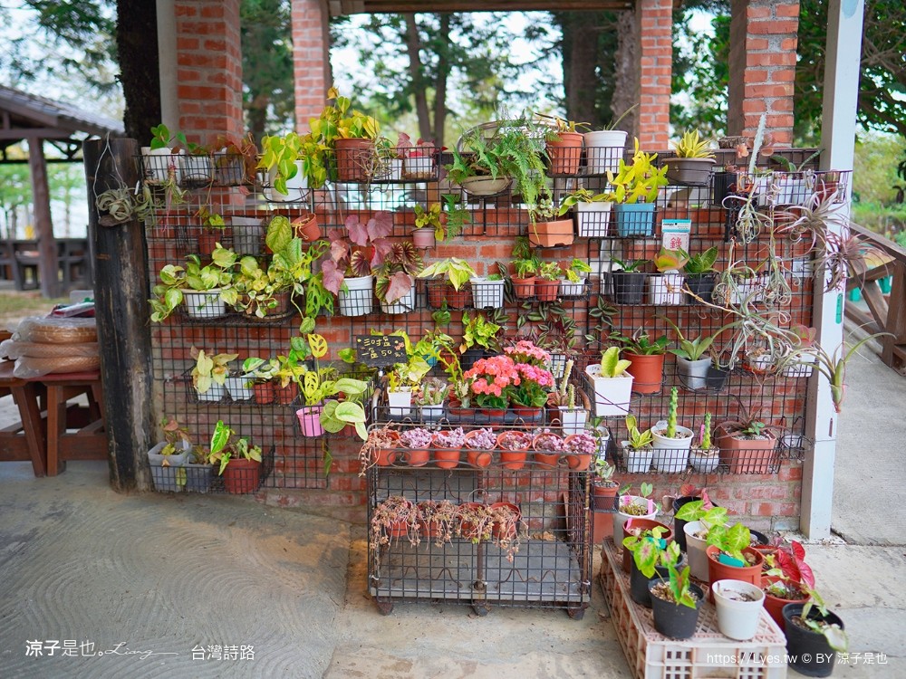 台灣詩路 台南 鹽水景點 免門票 景點推薦 預約制餐廳 木綿花 台南鹽水文學步道 台南 鹽水景點 免門票 景點推薦 預約制餐廳 木綿花 台南鹽水 文學步道