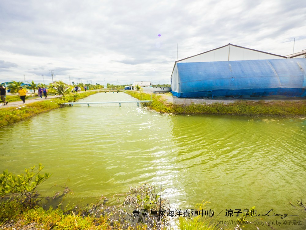 泰國 皇家海洋養殖中心