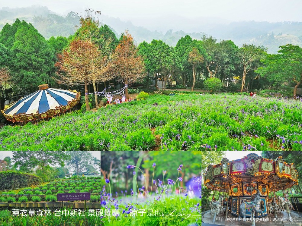 薰衣草森林 台中新社 景觀餐廳