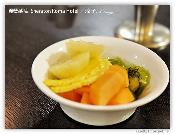 義大利住宿-Sheraton Roma Hotel-Day8、9義大利羅馬四星級飯店
