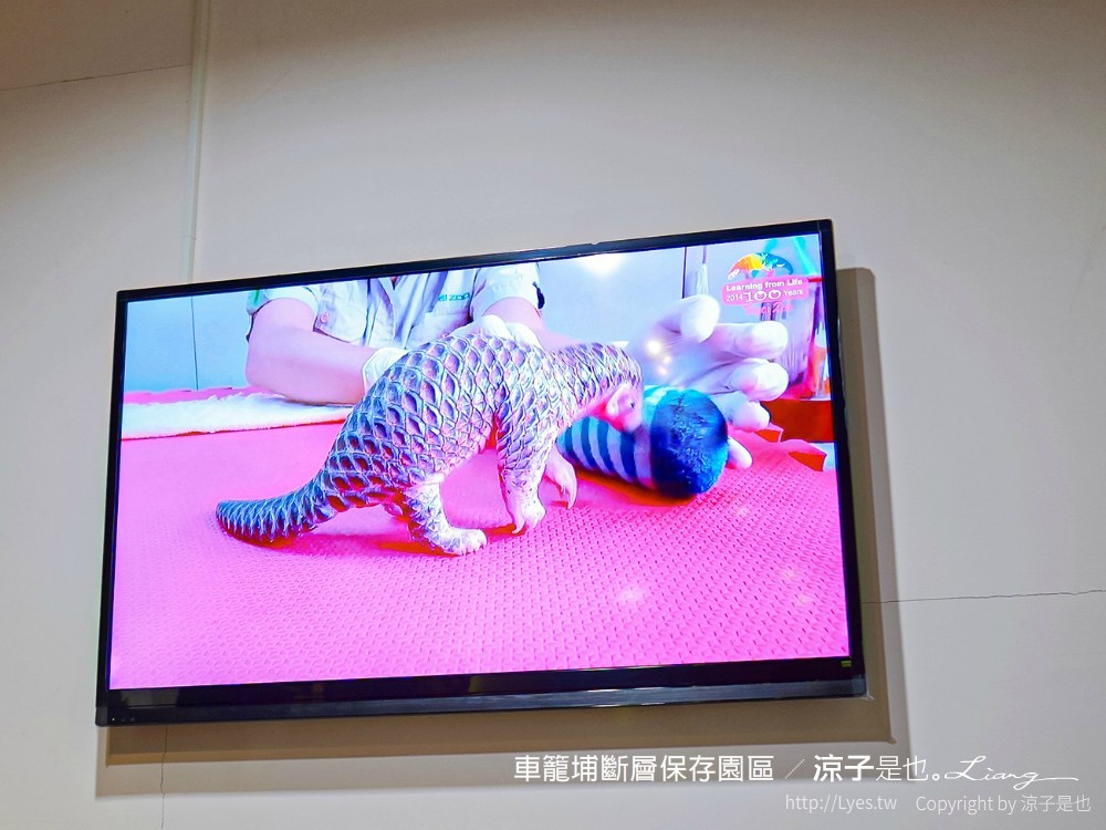 車籠埔斷層保存園區 南投竹山 親子景點 太空梭 VR體驗 跳舞機 3D劇場 手機icobo app