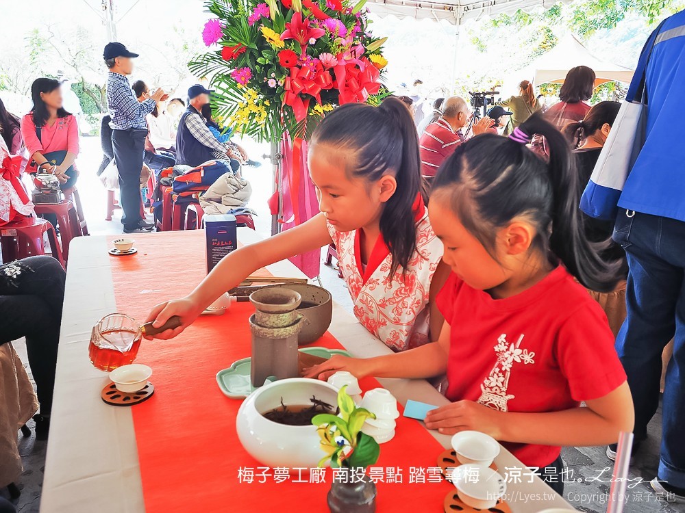 梅子夢工廠 南投景點 踏雪尋梅