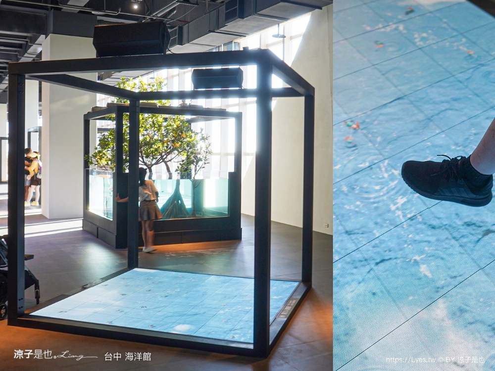 台中海洋館 門票優惠 交通 八大展區 免費票 台中親子景點 台中景點推薦 懶人包 攻略 必看特色