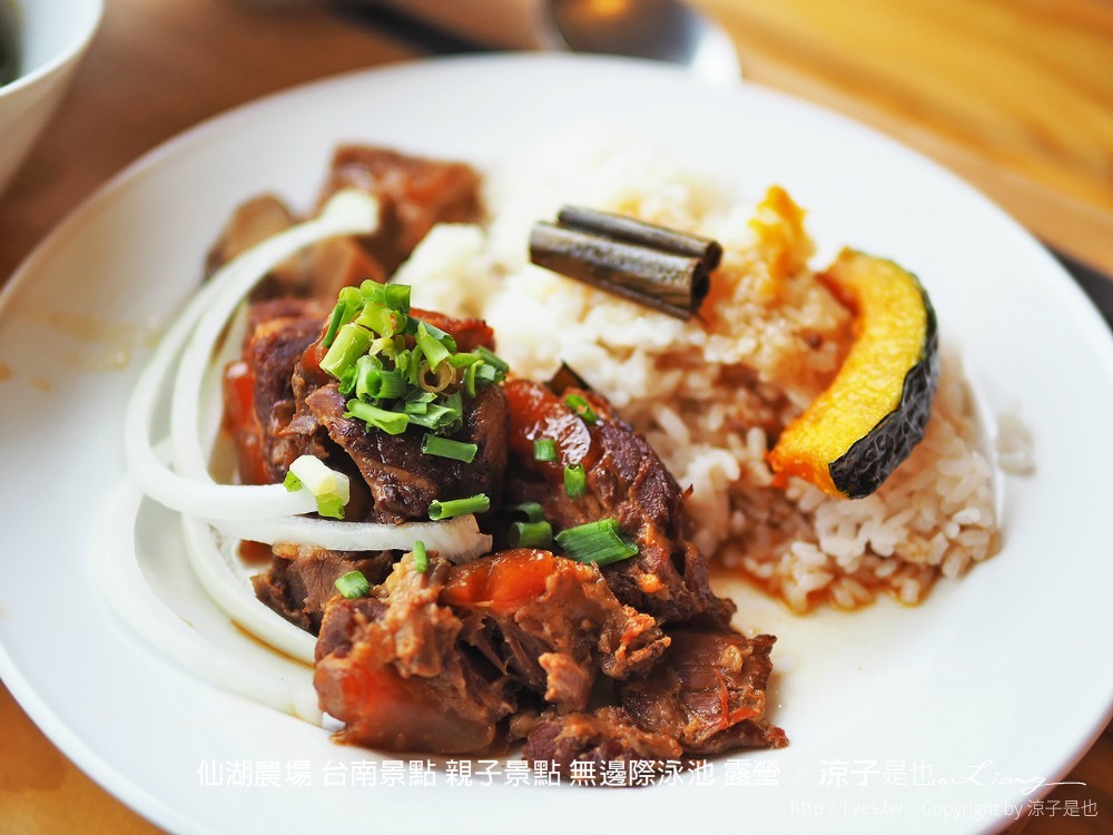 仙湖農場 台南景點 親子景點 無邊際泳池 露營