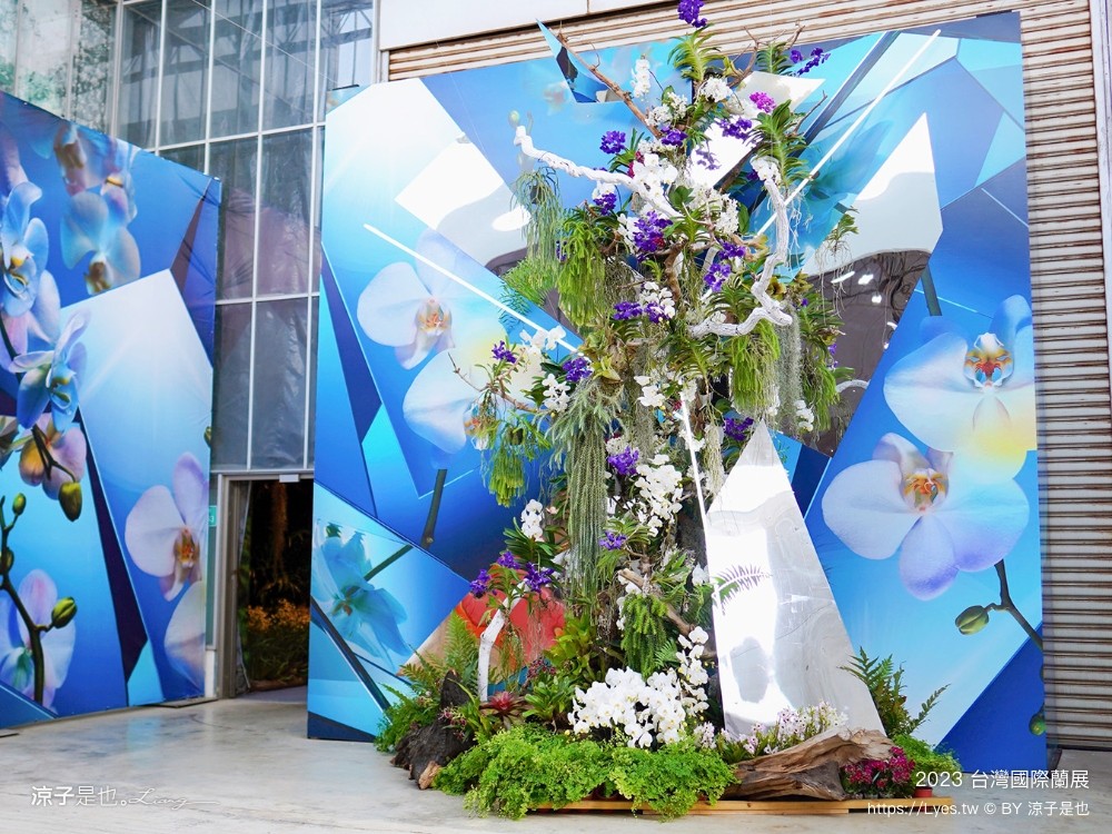 台灣國際蘭展 門票 2023時間 台南景點 魔境 恐龍 親子diy 必看亮點 台南限定蘭花