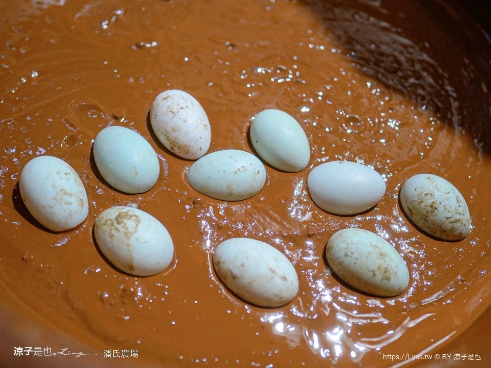 潘氏農場 屏東車城 親子景點 紅仁鴨蛋 鹹鴨蛋DFIY 屏東景點推薦 車城鹹鴨蛋老店推薦