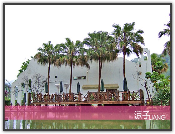 泓品 三義 棕櫚泉23