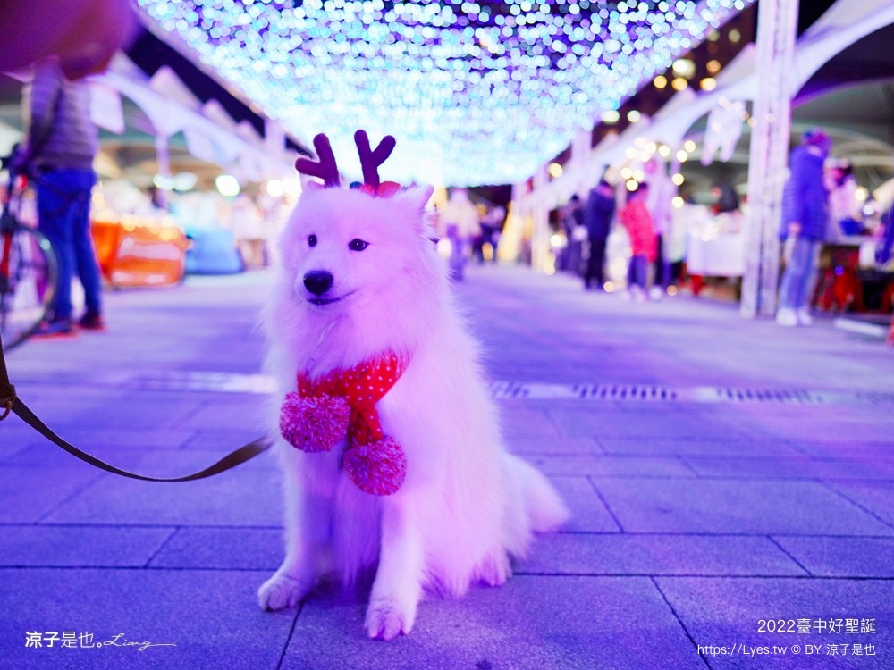 臺中好聖誕 愛邸家 台中聖誕 聖誕樹 抽獎活動 市集園遊會 親子遊戲站 集點摸彩