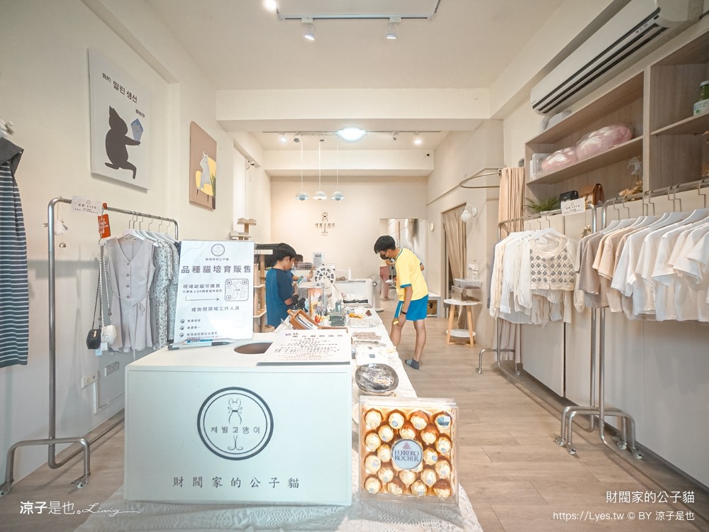 財閥家的公子貓 台南擼貓咖啡廳 台南景點推薦 狐獴 台南親子景點 室內景點 貓咪咖啡館 浣熊 狐獴 袋鼠 球蟒 雪貂 守宮