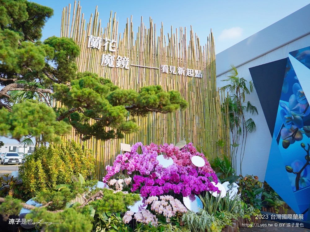 台灣國際蘭展 門票 2023時間 台南景點 魔境 恐龍 親子diy 必看亮點 台南限定蘭花