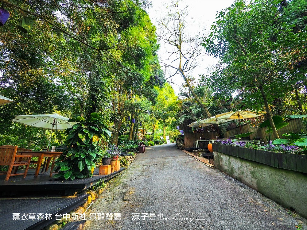 薰衣草森林 台中新社 景觀餐廳