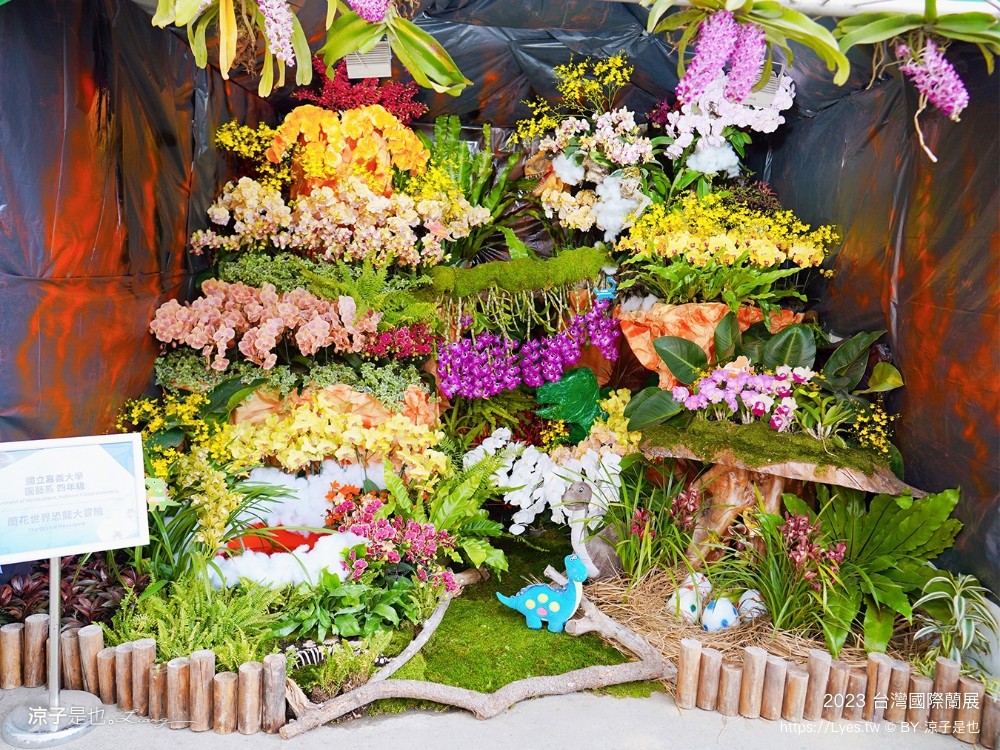 台灣國際蘭展 門票 2023時間 台南景點 魔境 恐龍 親子diy 必看亮點 台南限定蘭花