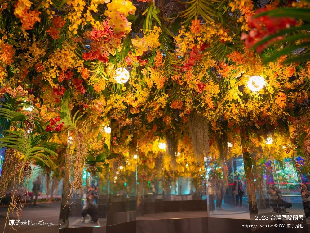 台灣國際蘭展 門票 2023時間 台南景點 魔境 恐龍 親子diy 必看亮點 台南限定蘭花
