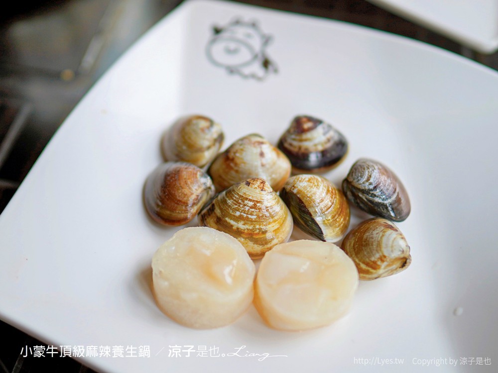 小蒙牛頂級麻辣養生鍋 台中 文心 麻辣火鍋吃到飽 崇德商圈 哈根達司 和牛 美食 菜單