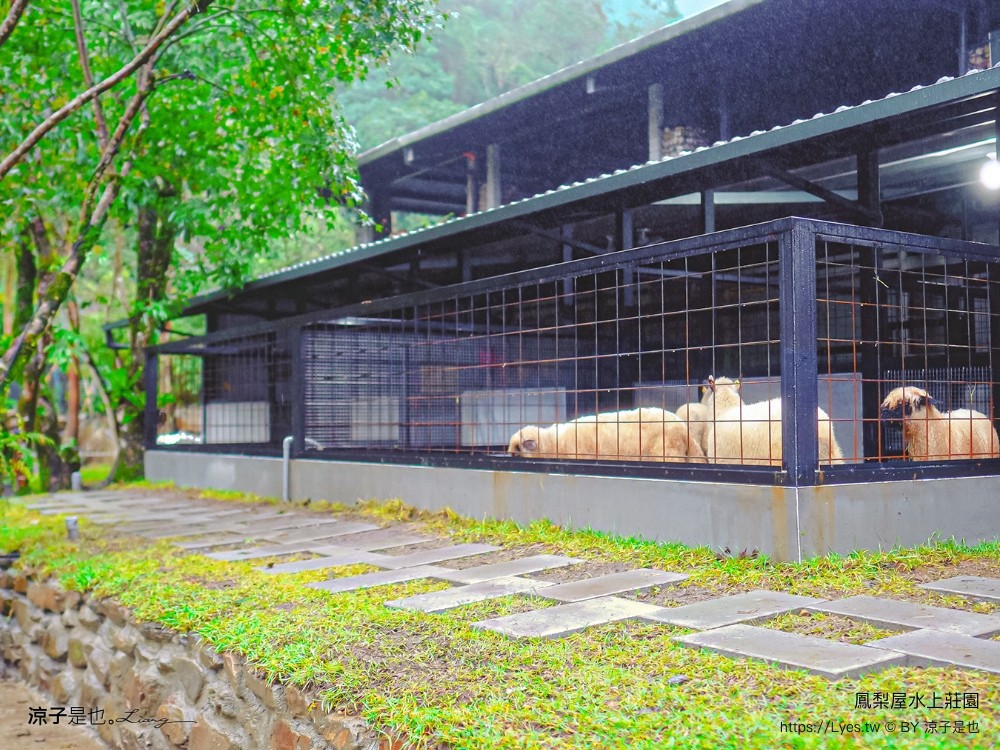 鳳梨屋水上莊園 宜蘭景點 一日遊 鳳梨屋門票 戲水池 動物園 水豚君 網美景點 水簾鞦韆 鳳梨泳池 餵羊 宜蘭豪華懶人露營 Villa 網美景點
