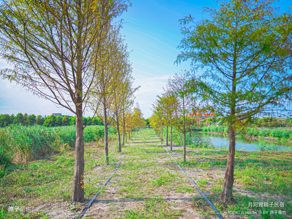 月河彎親子民宿 宜蘭親子住宿 飯店 溜滑梯房型 早餐 球池 城堡 樹屋 賽車 寶可夢溜滑梯