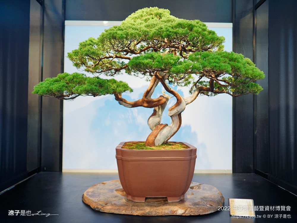 2022中臺灣 氣墊遊戲區 溜滑梯戲水池 農產品展售 美食小吃