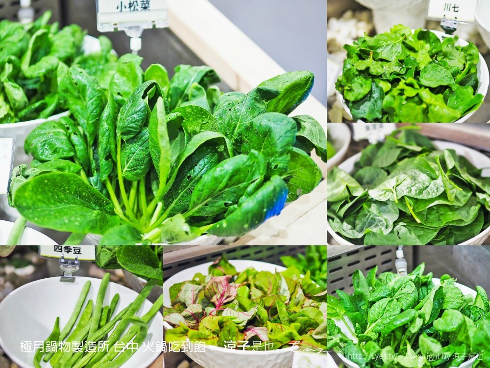 極月鍋物製造所 台中 火鍋吃到飽