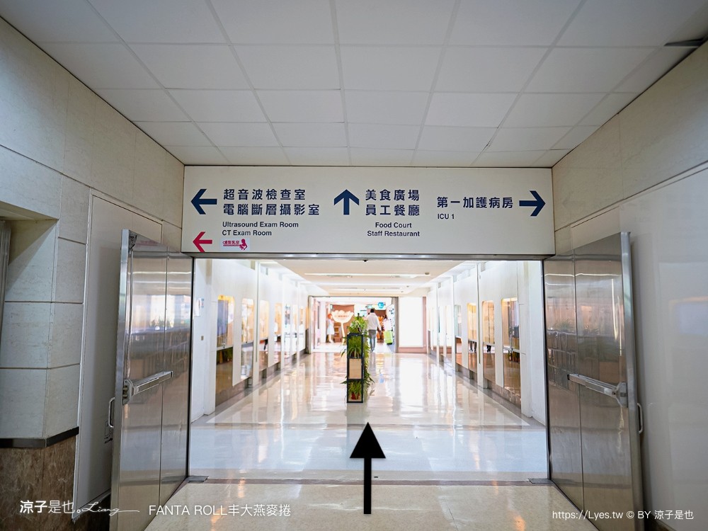 丰大燕麥捲 台中蛋糕 低卡 台中伴手禮 桂格聯名 oatty系列燕麥捲 口味 價格 台中甜點 彌月蛋糕 養生蛋糕 探病禮物 比利時 fanta roll