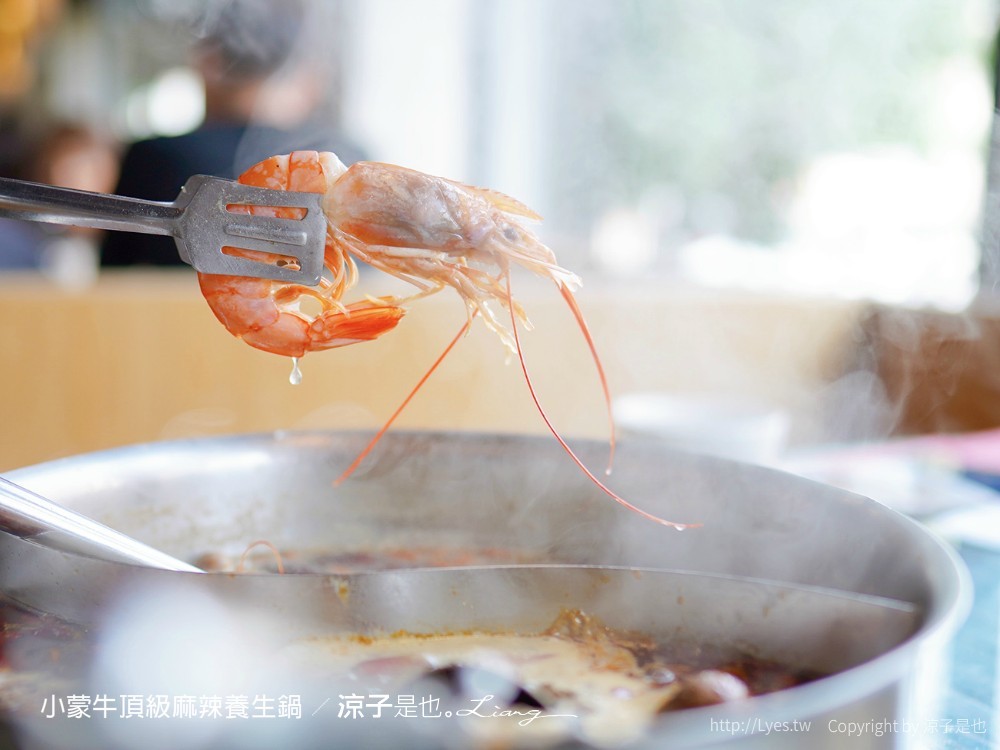 小蒙牛頂級麻辣養生鍋 台中 文心 麻辣火鍋吃到飽 崇德商圈 哈根達司 和牛 美食 菜單