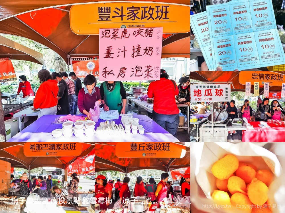 梅子夢工廠 南投景點 踏雪尋梅