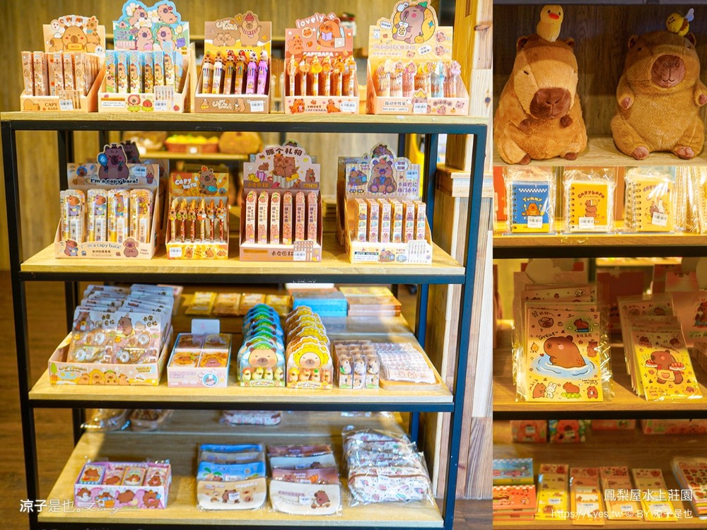 鳳梨屋水上莊園 宜蘭景點 一日遊 鳳梨屋門票 戲水池 動物園 水豚君 網美景點 水簾鞦韆 鳳梨泳池 餵羊 宜蘭豪華懶人露營 Villa 網美景點