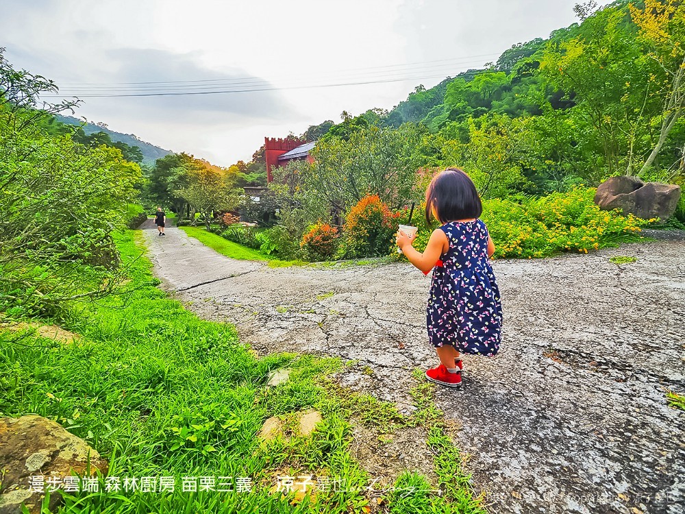 漫步雲端 森林廚房 苗栗三義