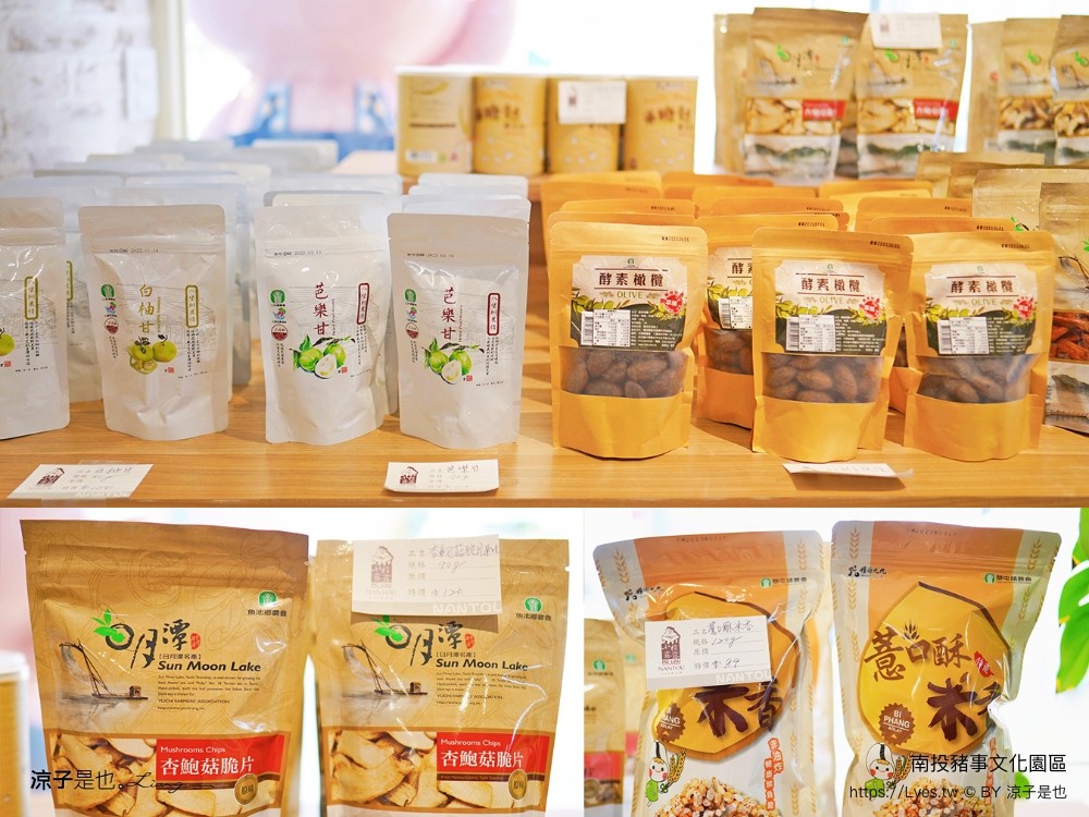 南投名間親子生態園區 南投親子公園 彩虹溜滑梯 盪鞦韆 免門票親子景點 野餐 天空步道 2022重新開幕