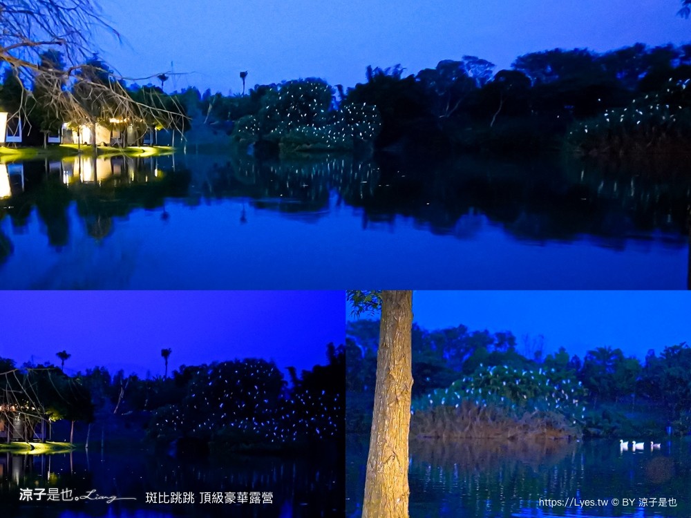 斑比跳跳 苗栗住宿 三灣棕櫚灣 頂級豪華 苗栗親子景點 露營車房型 價位優惠 評價