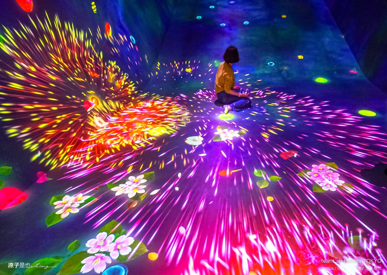 teamLab Planets TOKYO 東京teamLab 豐洲teamLab 東京景點 日本自由行