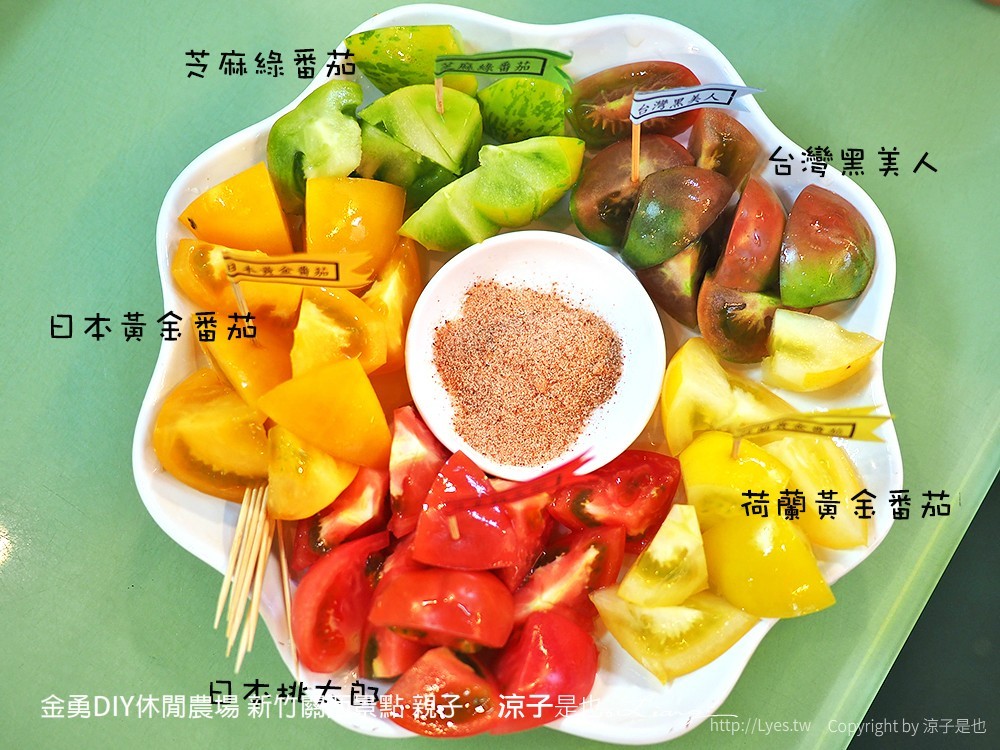 金勇DIY休閒農場 新竹關西景點 親子