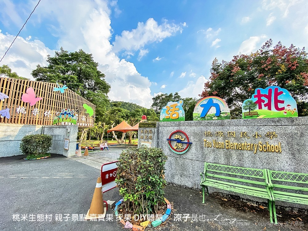 南投埔里 桃米生態村 親子景點 嘉寶果 採果 diy體驗