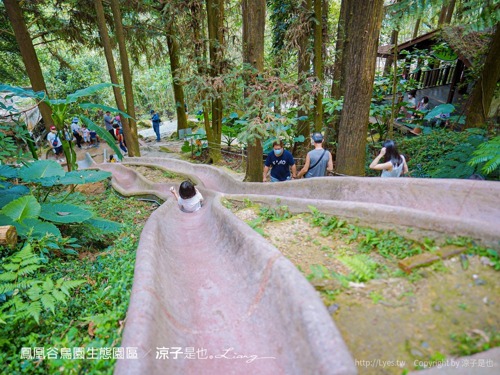 鳳凰谷鳥園生態園區 南投 親子景點 森林溜滑梯 賞鳥 DIY 鹿谷 步道 吊橋 瀑布