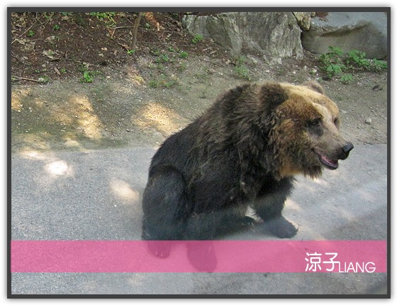 愛寶樂園(動物篇)10