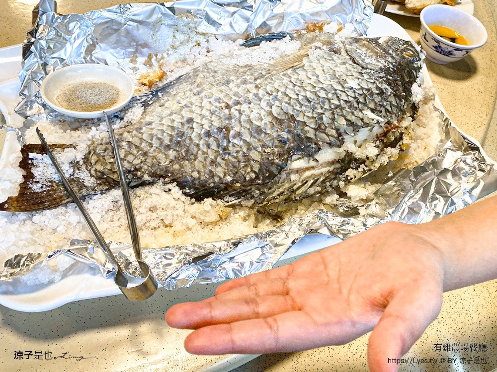有雞農場餐廳 國姓美食 南投美食 預約制餐廳 國姓餐廳推薦 無菜單料理