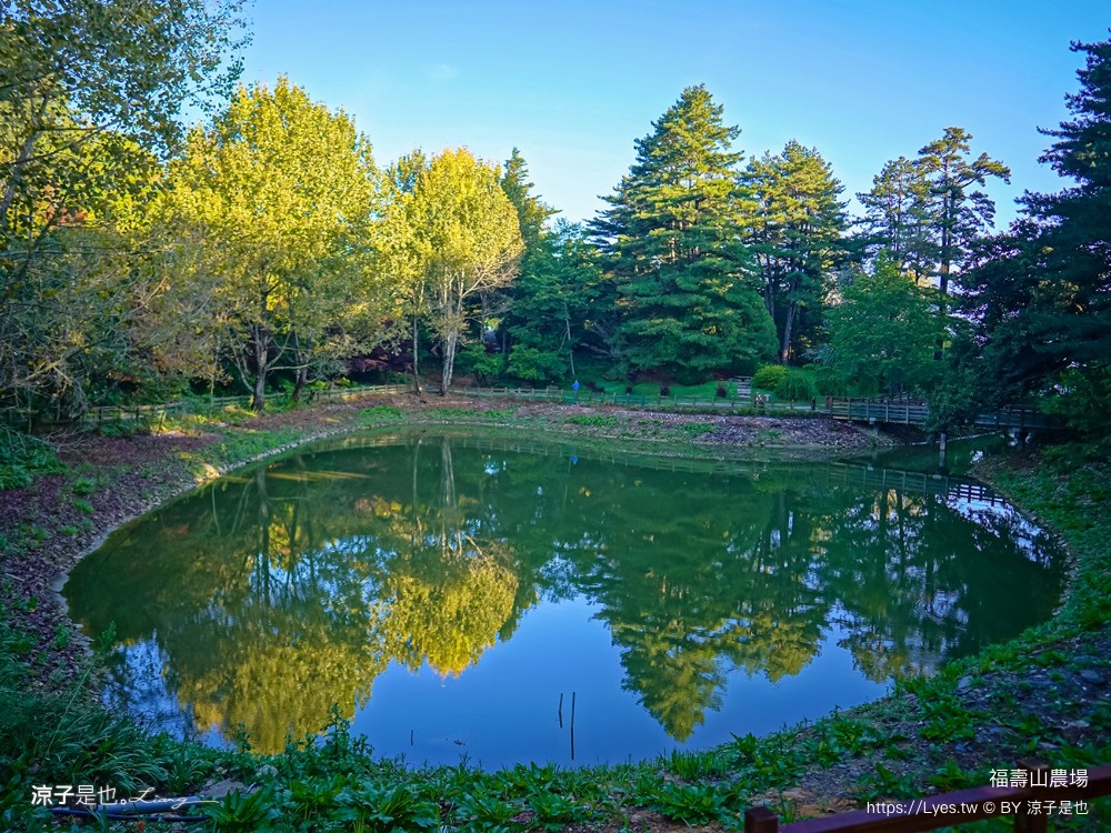 福壽山農場 民宿房型 住宿 露營 蘋果