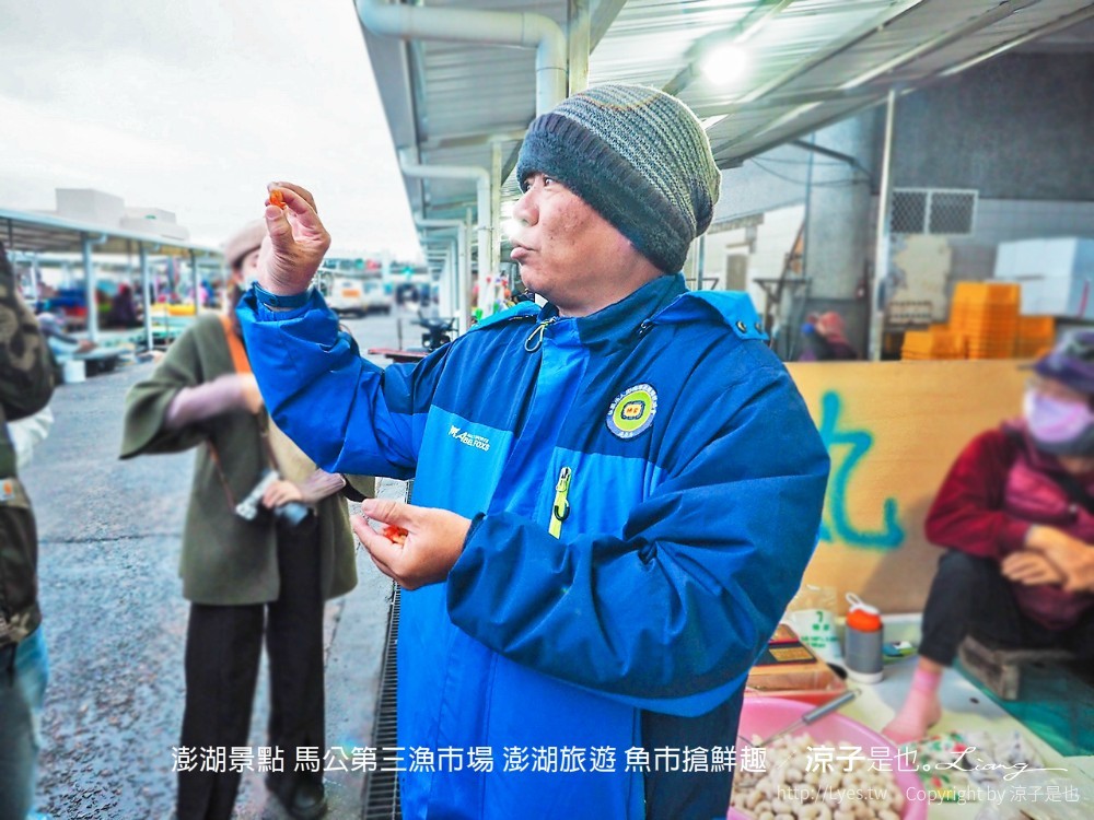 澎湖景點 馬公第三漁市場 澎湖旅遊 魚市搶鮮趣