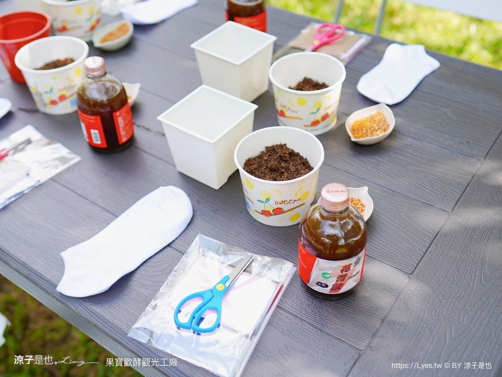 果寶歡酵觀光工廠 有機嘉寶果農場 門票 樹葡萄 南投埔里 親子景點 diy體驗 桃米休閒農業區