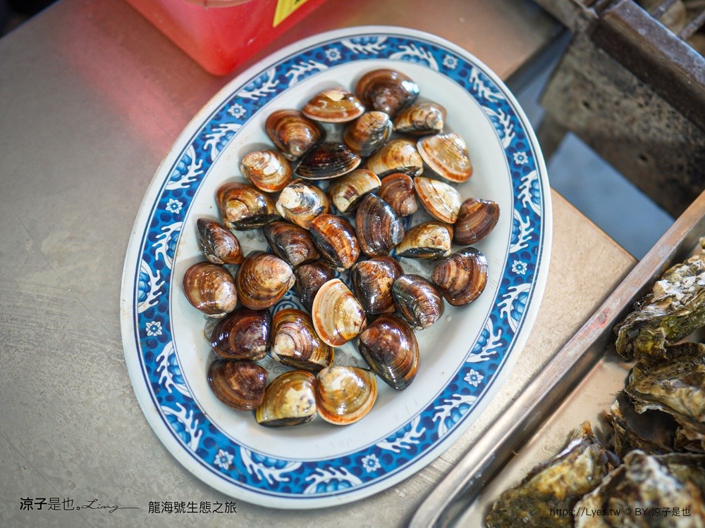 龍海號生態之旅 台南七股景點 台南景點 烤蚵吃到飽 親子景點 台南生態旅遊