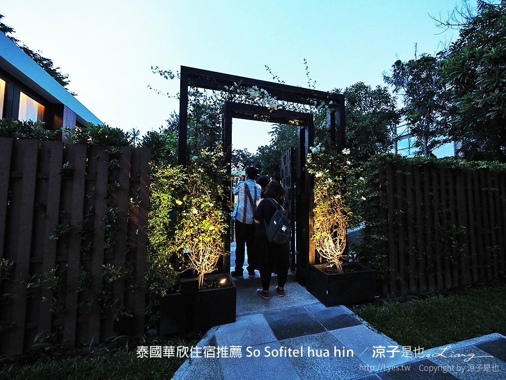 泰國華欣住宿推薦 So Sofitel hua hin