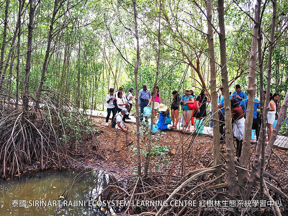 泰國 SIRINART RAJINI ECOSYSTEM LEARNING CENTRE 紅樹林生態系統學習中心