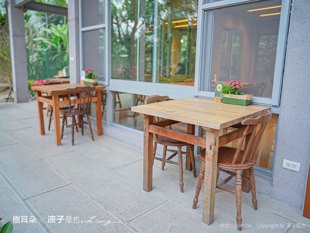 樹耳朵 菜單 台南關仔嶺 甜點咖啡館 景觀餐廳 白河 檸檬塔 假日限定 森林系