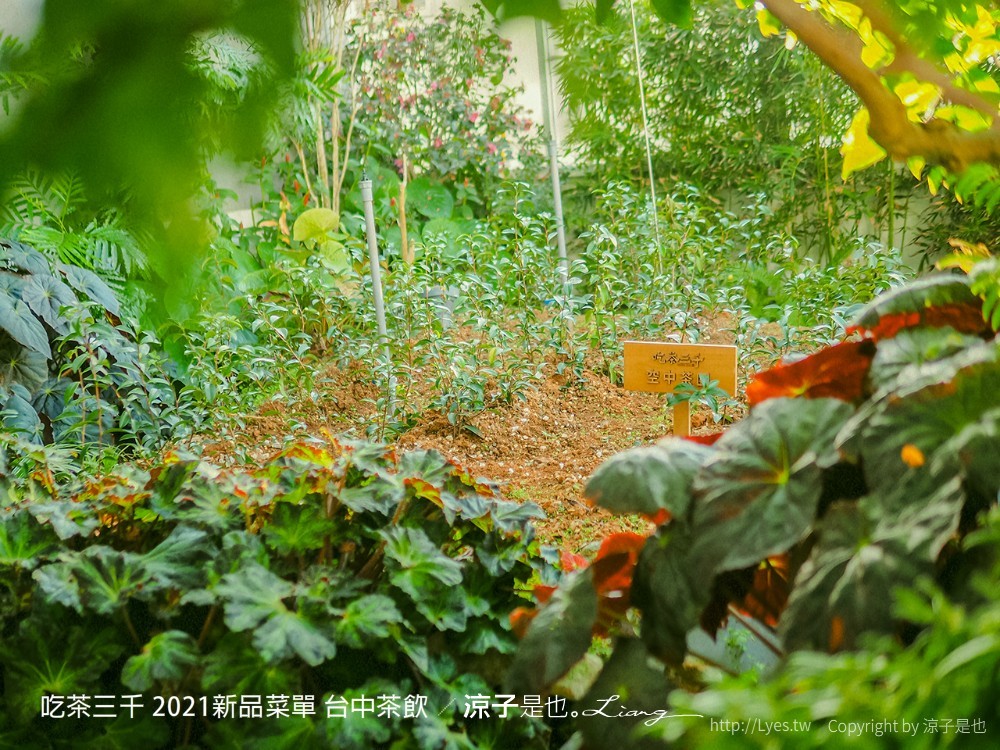 吃茶三千 菜單 台中茶飲 喫茶小舖 大英旗艦店 2021新品 推薦 凍頂烏龍鮮奶茶 紅包 春聯