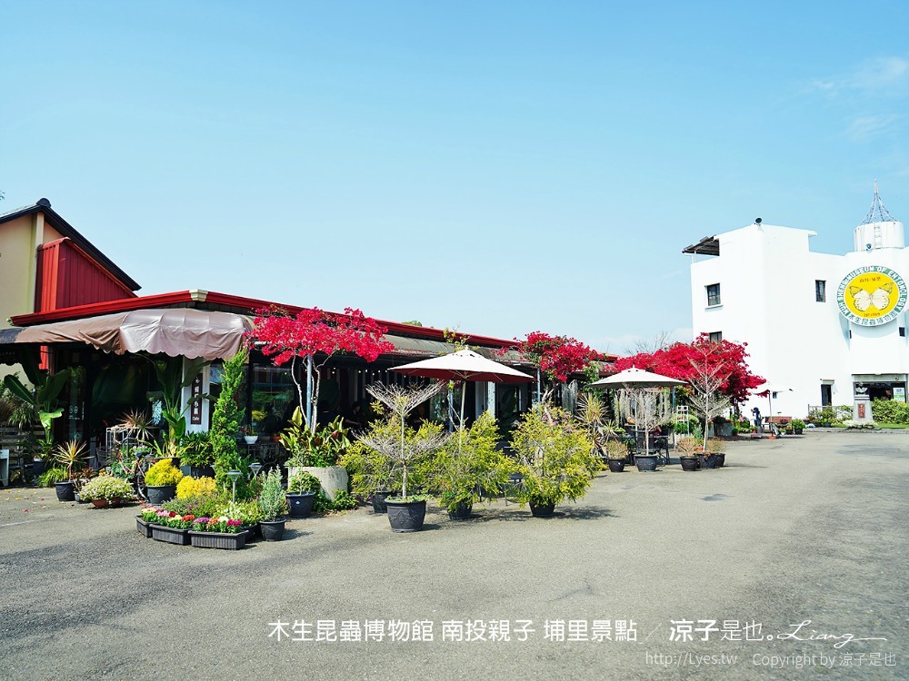 木生昆蟲博物館 南投親子 埔里景點