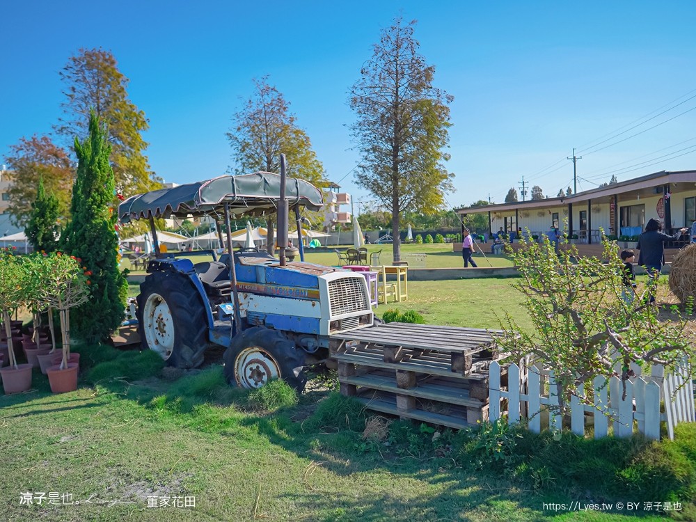 董家花田 菜單 門票 景點 彰化景點 田尾景觀餐廳 花海 戶外野餐 咖啡 交通