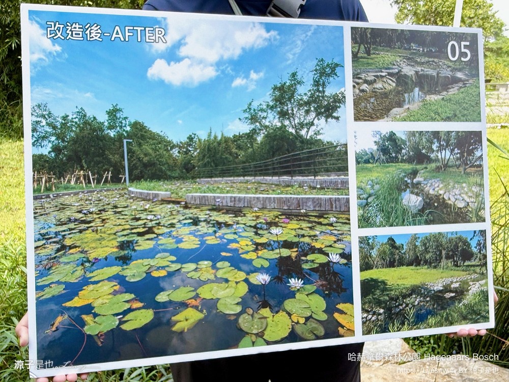 哈赫拿爾森林公園 台南景點 最新公園 森林秘境 開放時間 綠化 生態公園 交通 親子 hagenaars bosch